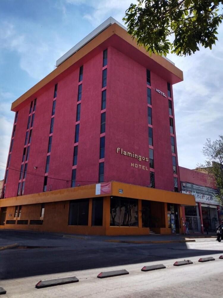 Hotel Flamingos Guadalajara Exterior photo